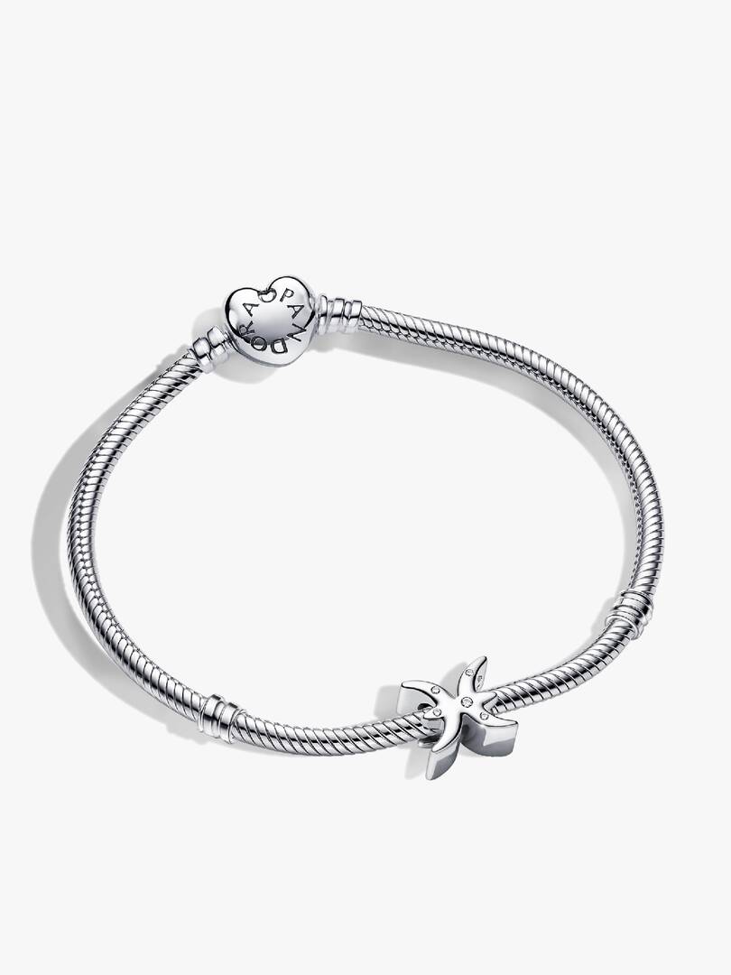 Pisces Zodiac Charm Bracelet Set 2 Quantity