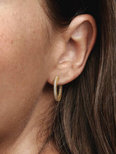 Pandora Signature Logo & Pavé Hoop Earrings 14k gold plating