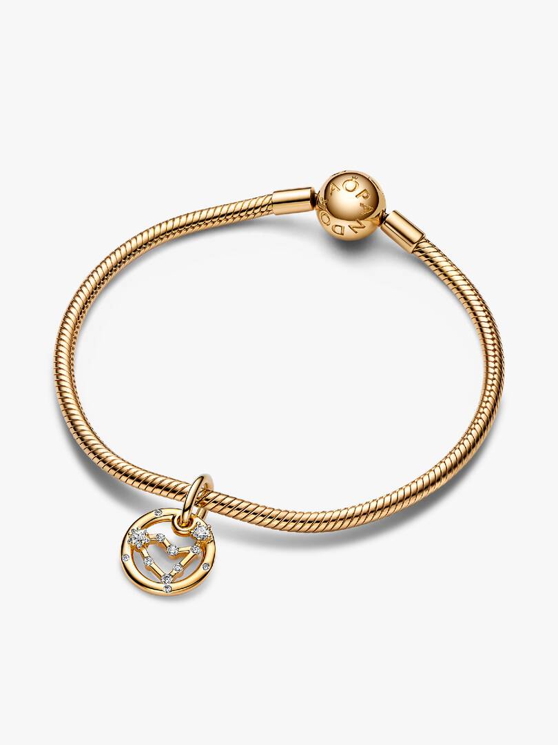 Capricorn Zodiac Dangle Charm Bracelet Set 2 Quantity
