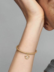 Aquarius Zodiac Dangle Charm 14k gold plating