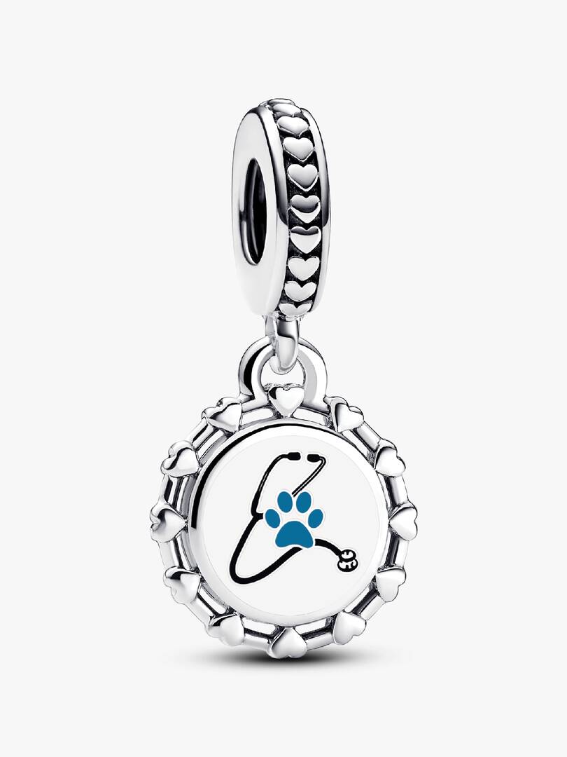 Veterinarian Dangle Charm Sterling silver