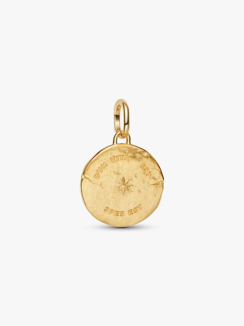 Swallow Medallion Charm 14k gold plating