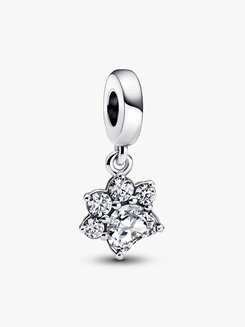Sparkling Pet Paw Print Dangle Charm Sterling silver