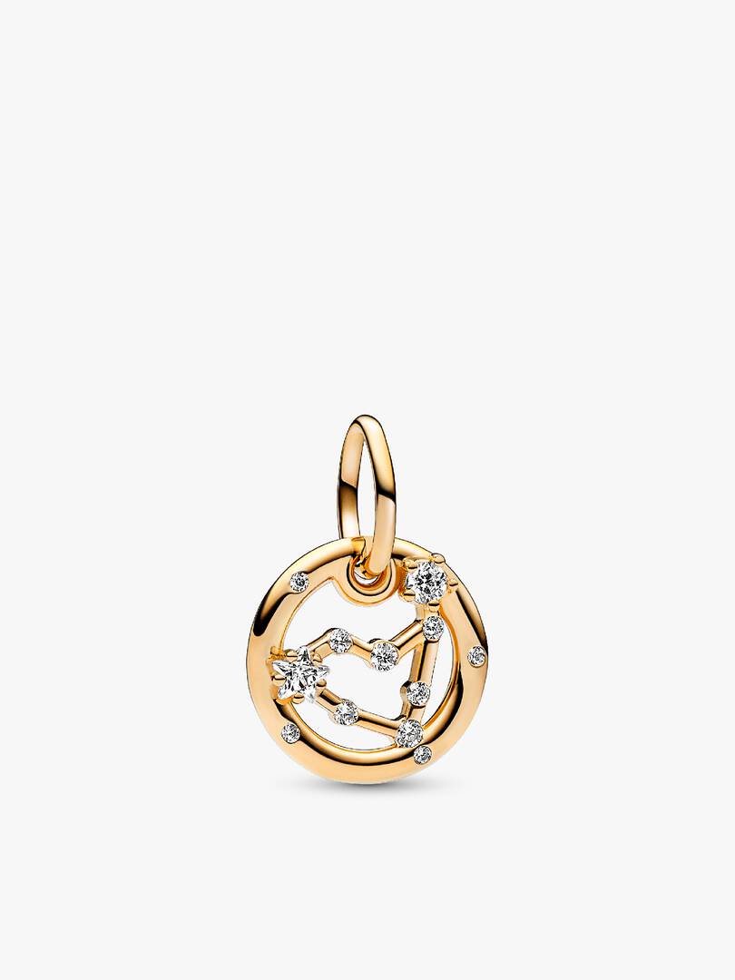 Capricorn Zodiac Dangle Charm Bracelet Set 2 Quantity