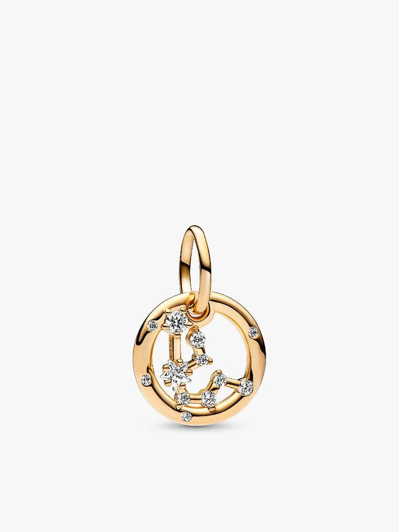 Aquarius Zodiac Dangle Charm Bracelet Set 2 Quantity