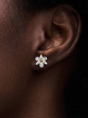 Sparkling Herbarium Cluster Stud Earrings 14k gold plating