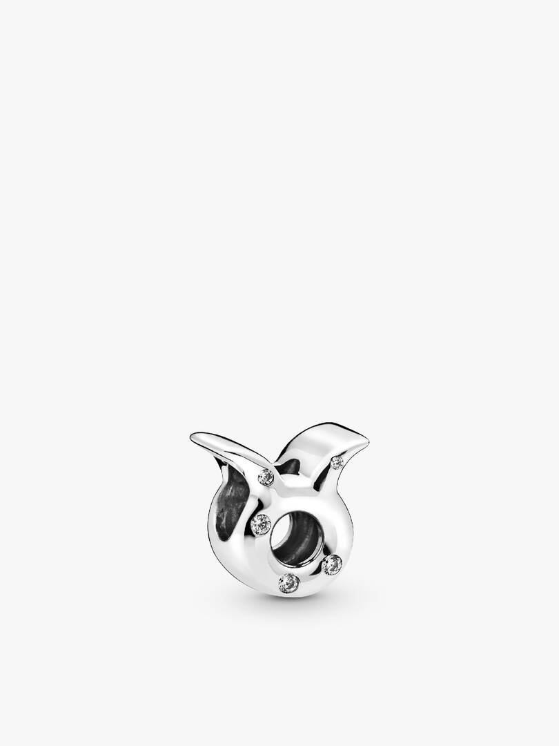 Taurus Zodiac Charm Bracelet Set 2 Quantity