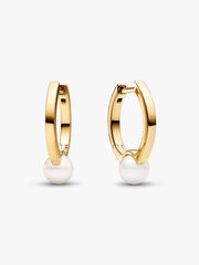FINAL SALE - Treated Freshwater Cultured Pearl Hoop Earrings 14k gold plating