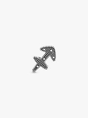 Sparkling Sagittarius Zodiac Charm Sterling silver