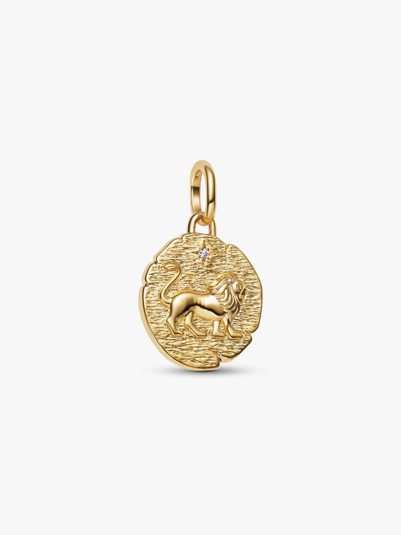 Lion Medallion Charm 14k gold plating