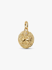 Lion Medallion Charm 14k gold plating