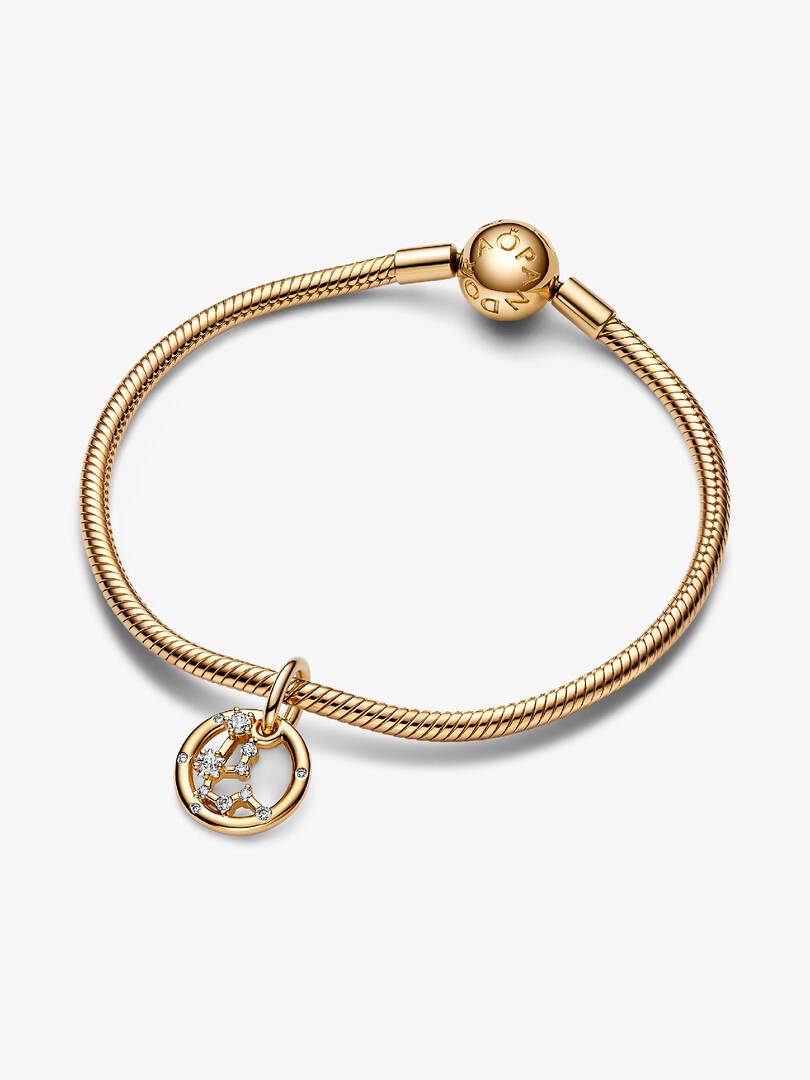 Aquarius Zodiac Dangle Charm 14k gold plating