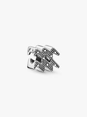 Sparkling Aquarius Zodiac Charm Sterling silver