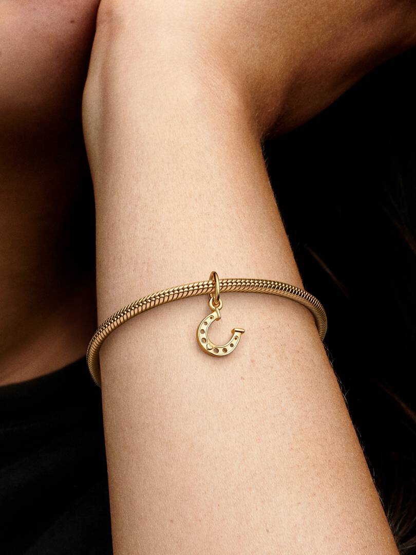 Lucky Horseshoe Dangle Charm 14k gold