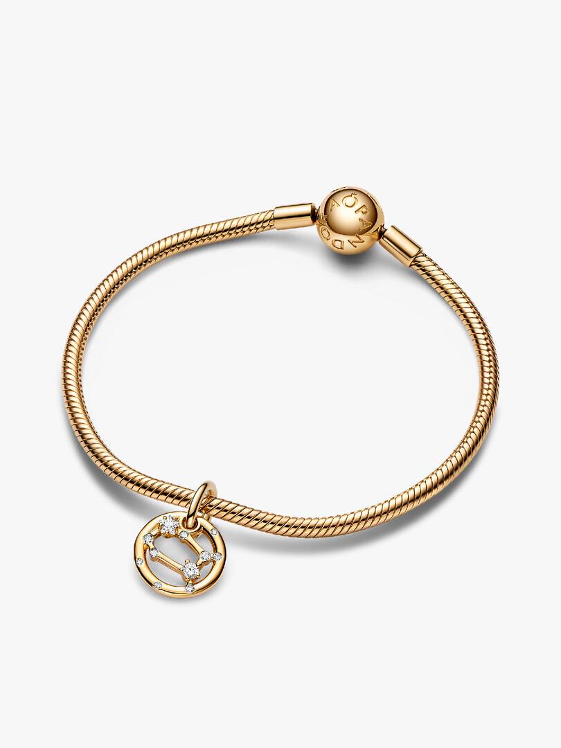 Gemini Zodiac Dangle Charm Bracelet Set 2 Quantity