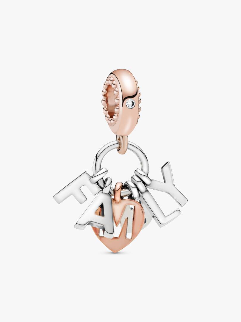 Family Letters Dangle Charm Sterling silver, 14k rose gold plating