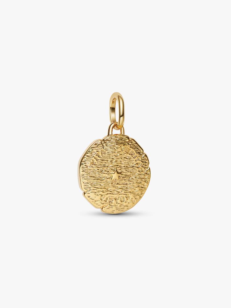 Lion Medallion Charm 14k gold plating