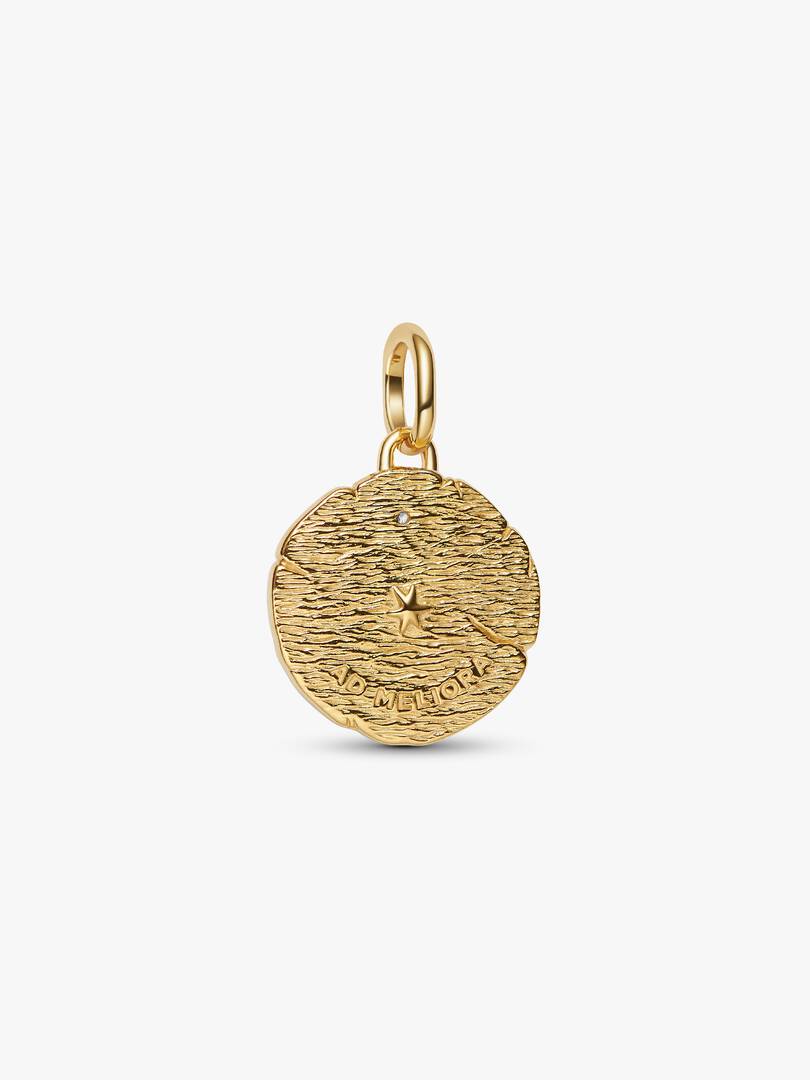 Crossing Arrows Medallion Charm Sterling silver, 14k gold plating