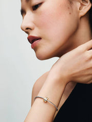 Clear Sparkling Row Clip Charm 14k gold plating